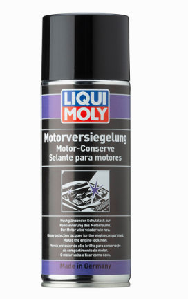 MOTOR YUZEYI YIKAMA SPREYI 12*400 ML
